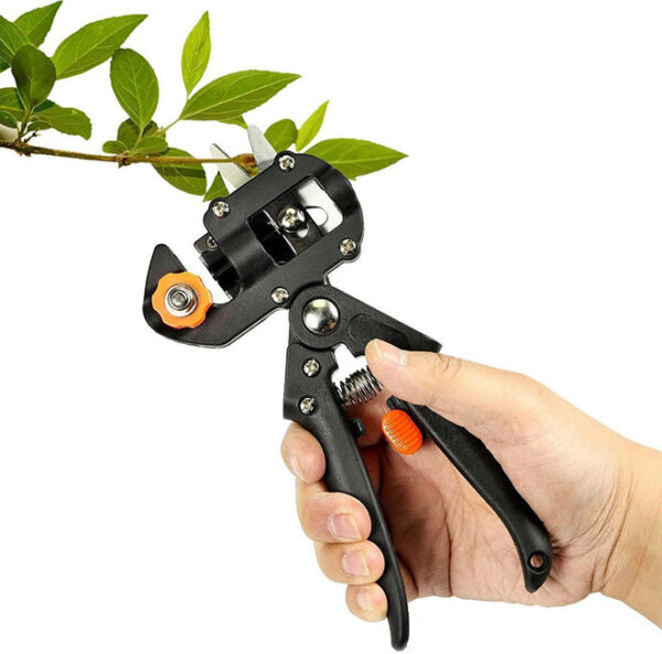 Ciseaux de Greffage Multifonction Professionnels – L'outil indispensable pour vos greffes ! – Image 6
